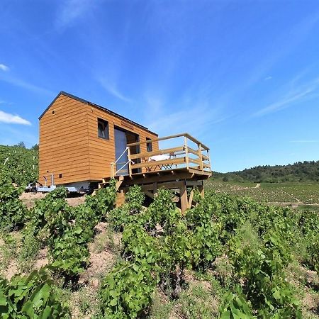 Tiny House Au Coeur Du Vignoble Beaujolais Hotell Fleurie Exteriör bild