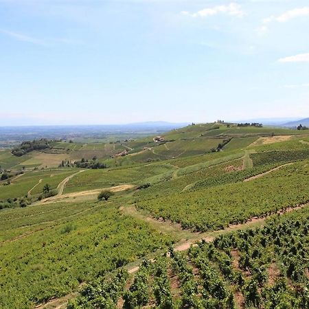 Tiny House Au Coeur Du Vignoble Beaujolais Hotell Fleurie Exteriör bild